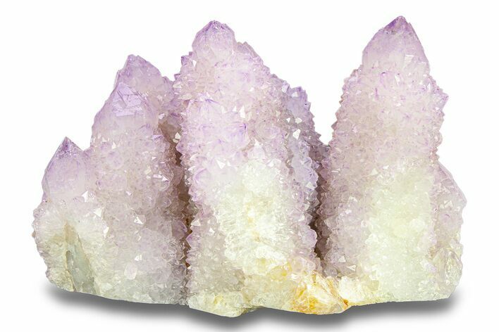 Cactus Quartz (Amethyst) Crystal Cluster - South Africa #283979
